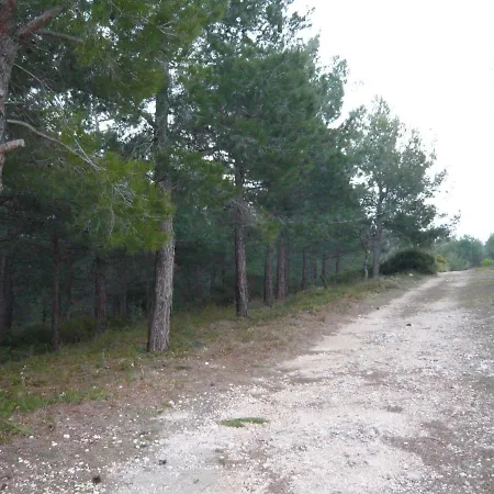 L'eden Sur La Colline